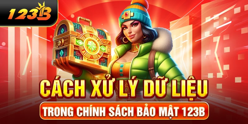 Cách xử lý dữ liệu trong chính sách bảo mật 123B